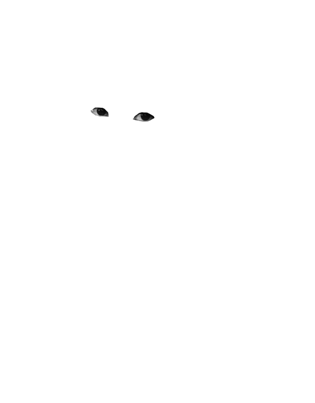 OJOS